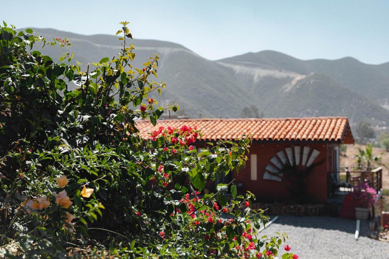 Vina Calabria Bed & Breakfast Valle de Guadalupe Bagian luar foto