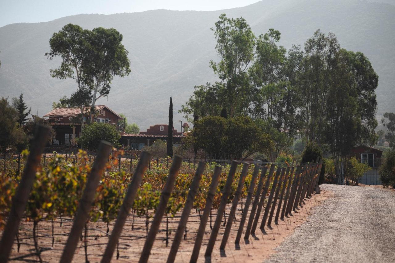 Vina Calabria Bed & Breakfast Valle de Guadalupe Bagian luar foto