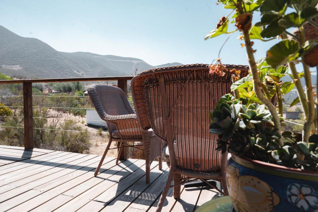 Vina Calabria Bed & Breakfast Valle de Guadalupe Bagian luar foto