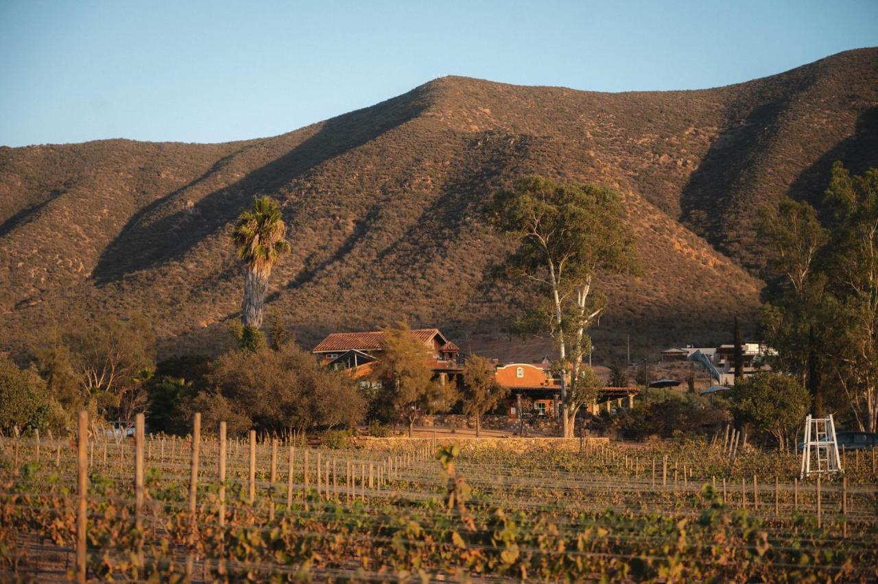 Vina Calabria Bed & Breakfast Valle de Guadalupe Bagian luar foto
