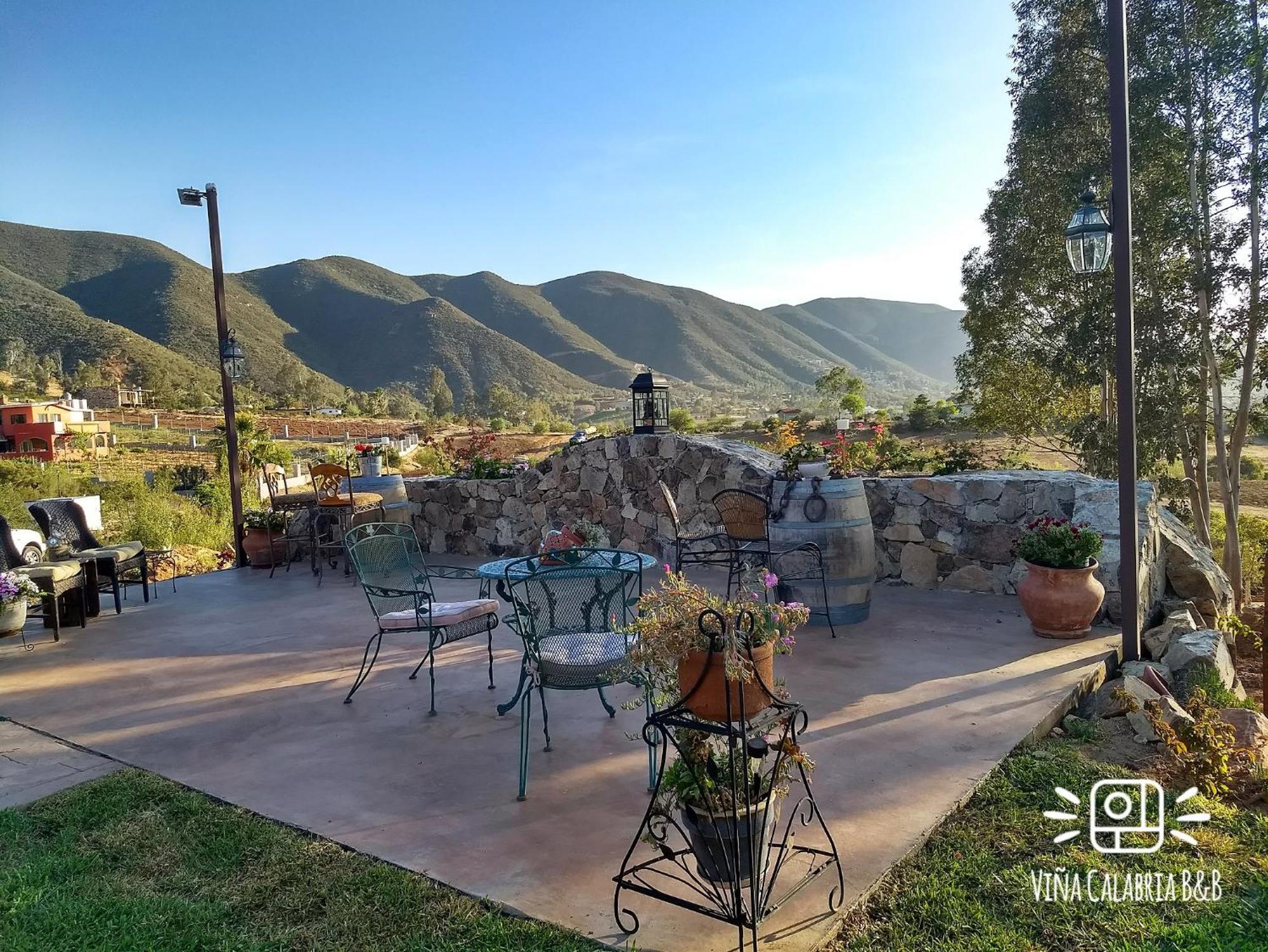 Vina Calabria Bed & Breakfast Valle de Guadalupe Bagian luar foto